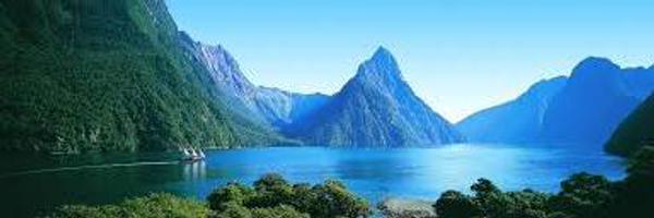 RealPCB_Live Profile Banner