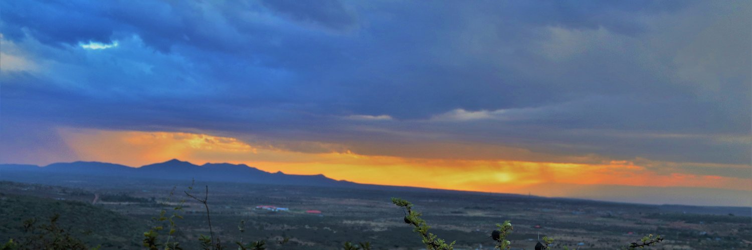 muturi_eva's profile banner image