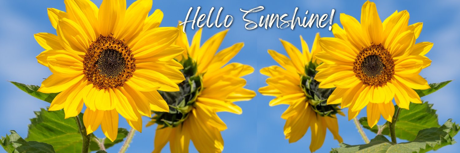 Angela Criscoe banner