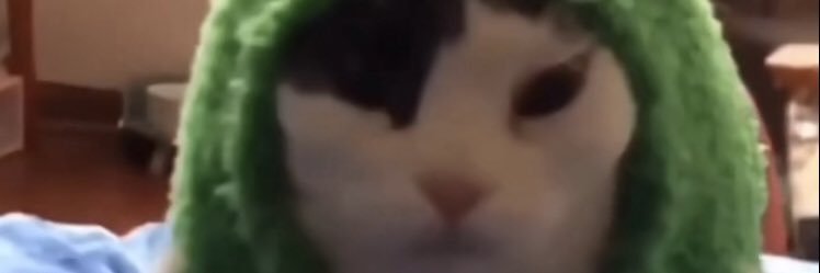 ItsWillo 🍉 banner