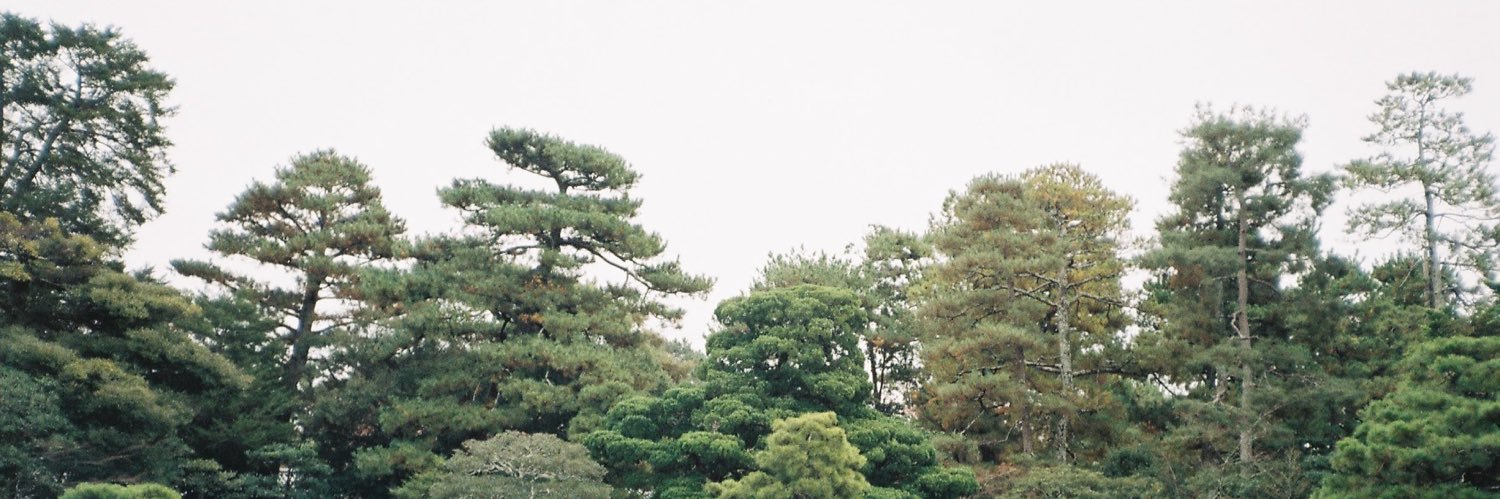 TWRTH's profile banner image
