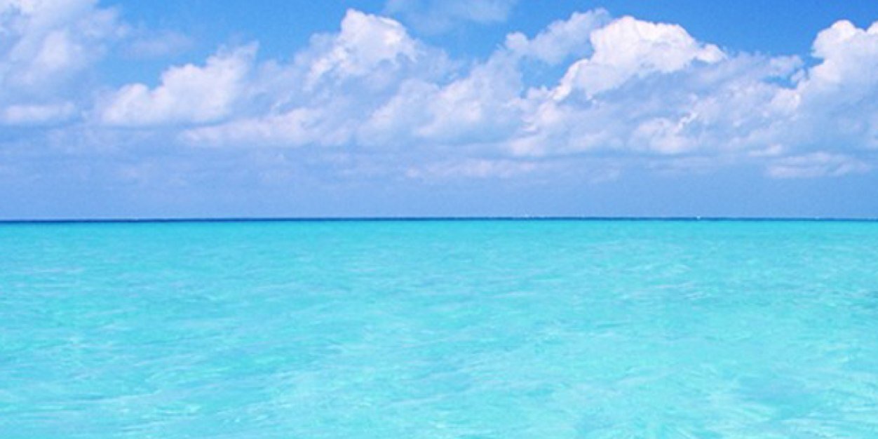 gadouri_rowa's profile banner image