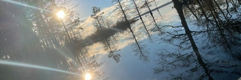 DragansLady2's profile banner image