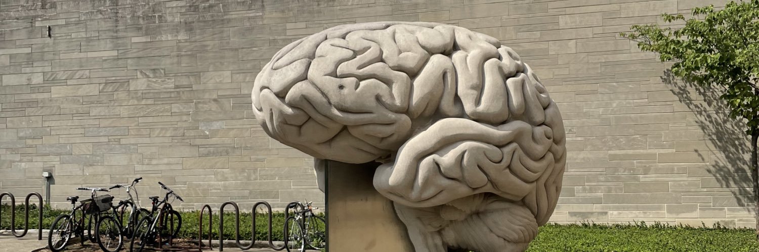 José Chimelis-Santiago, MS banner