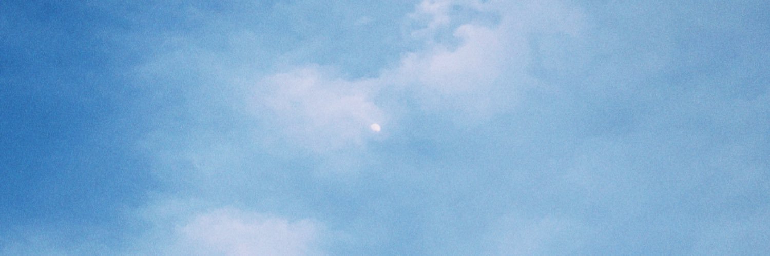 flavvvar's profile banner image