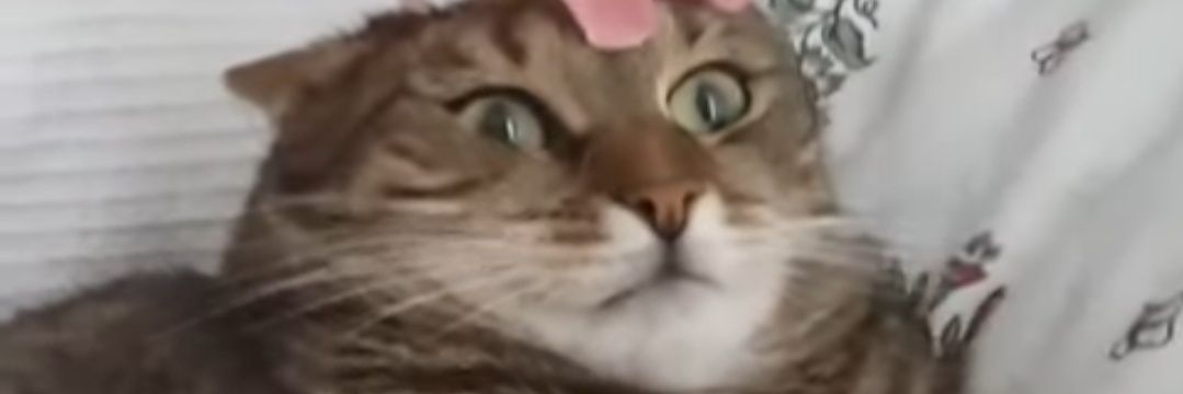 MKenji64's profile banner image