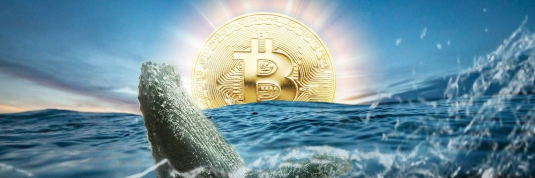 我家住海边 banner