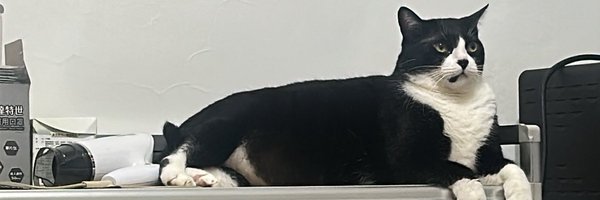 Wenchun37209682 Profile Banner