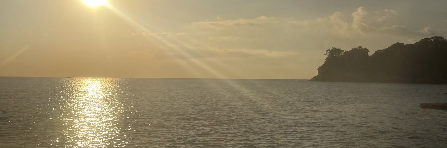 ellaellaellaaeh's profile banner image