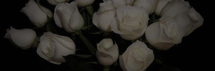 ernest_winifred's profile banner image