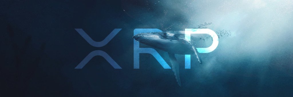 David 🇦🇺 banner