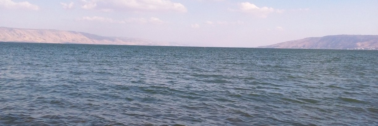 WILLIAM_JOY's profile banner image