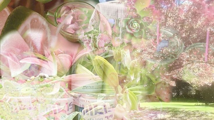 ☘️ ⋆. 𐙚 𝐒ᥱiᥲ ˚ banner
