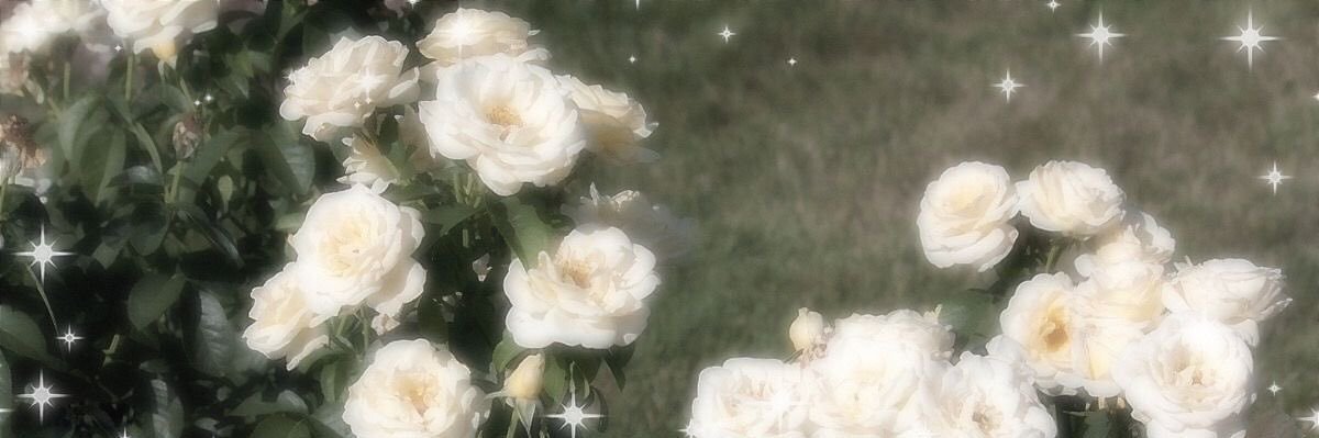 🦾 𝚉 banner