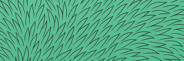 0xNikos Profile Banner
