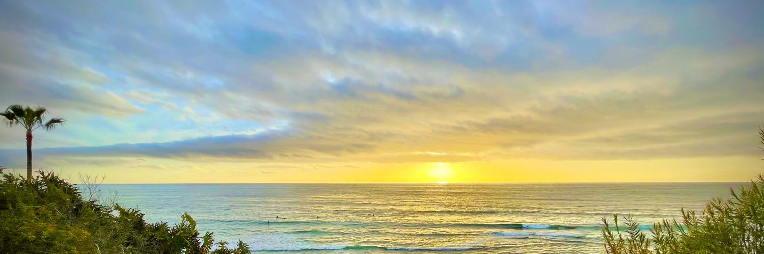 Sina Houshmand MD banner