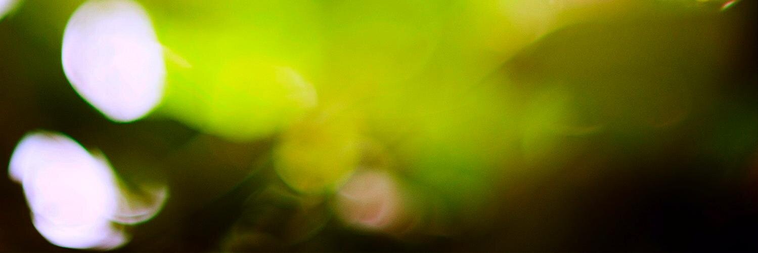 ruiantunes's profile banner image