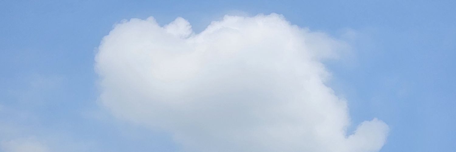 seoh_1022's profile banner image