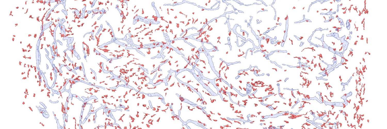 Jan Böttcher banner