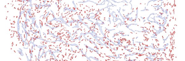 JBoettcherLab Profile Banner