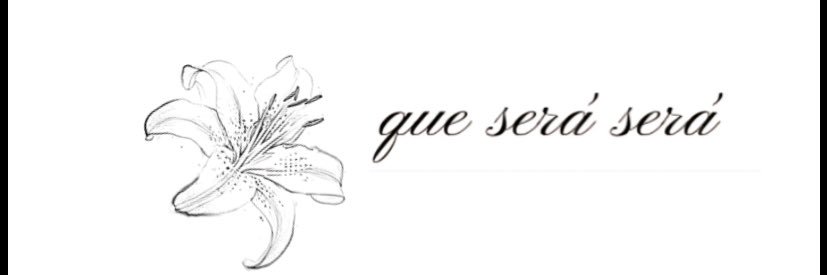 SerinyurekS's profile banner image