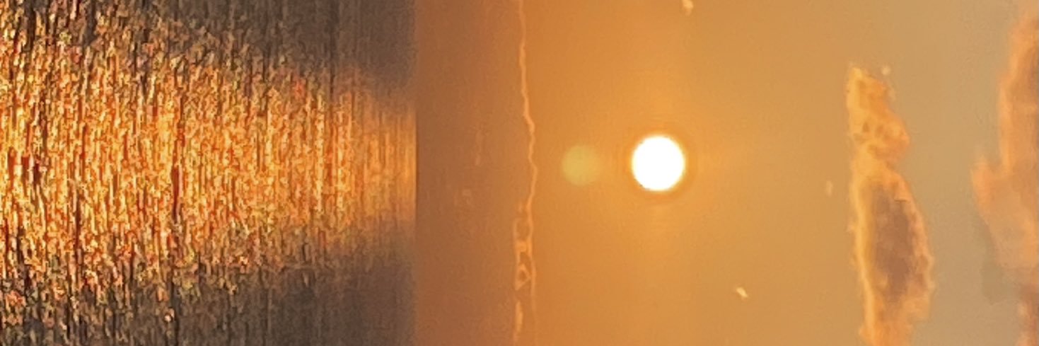 anabelnbb's profile banner image