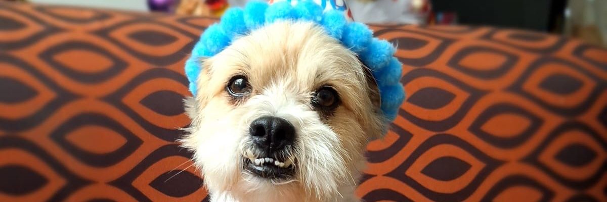 Fio_feels's profile banner image
