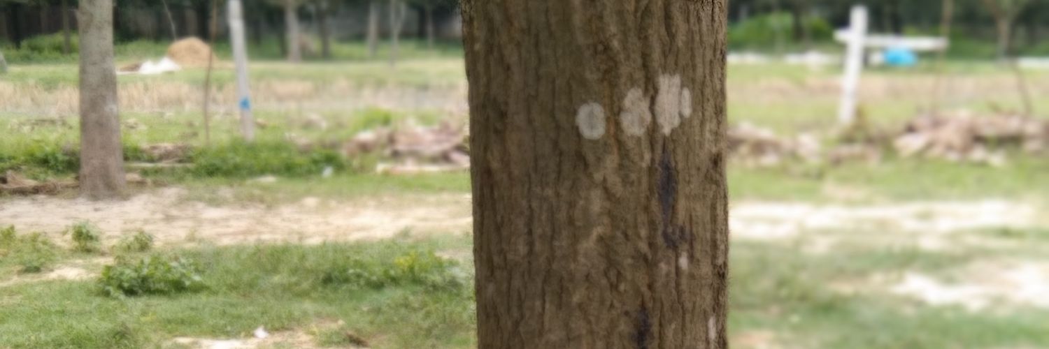 Md. Parvej🔶 banner
