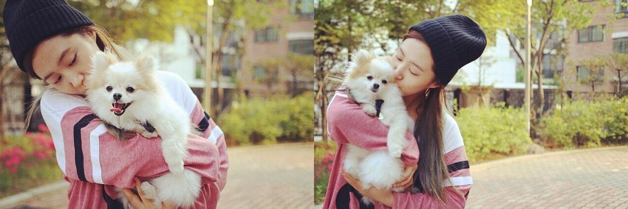 ggyul_89's profile banner image