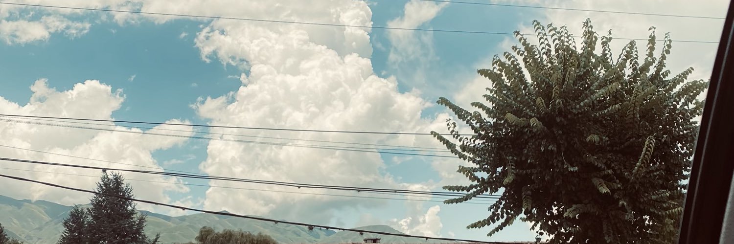 Tomasnievaa's profile banner image