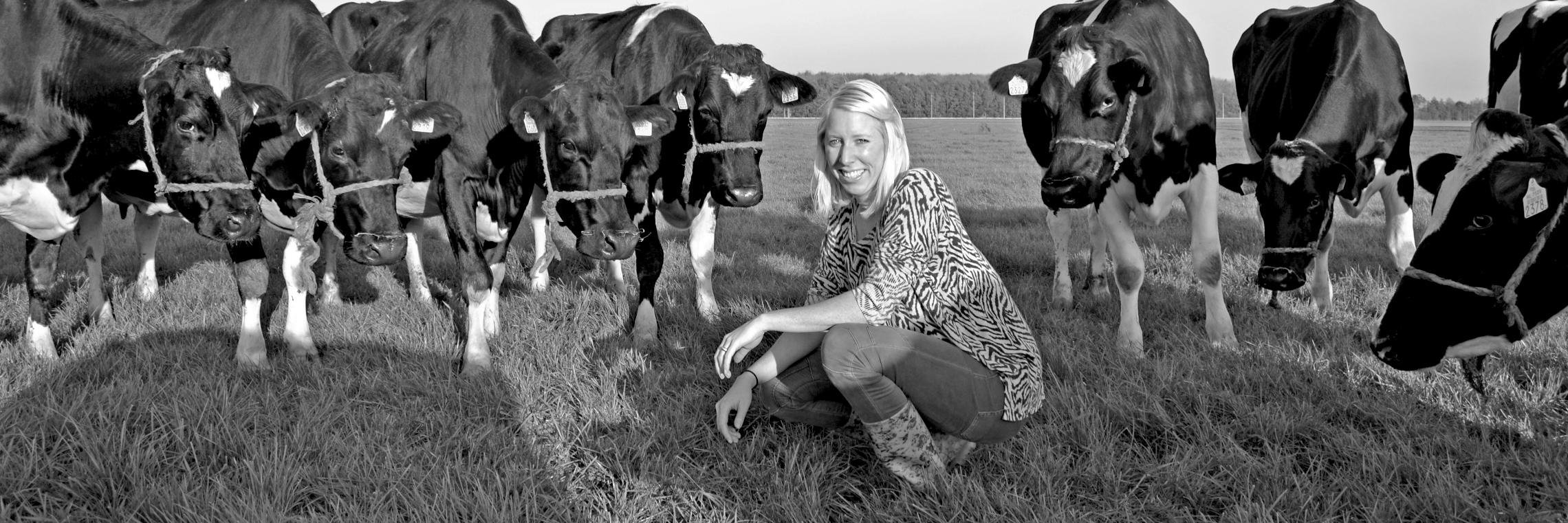 EllenManac's profile banner image