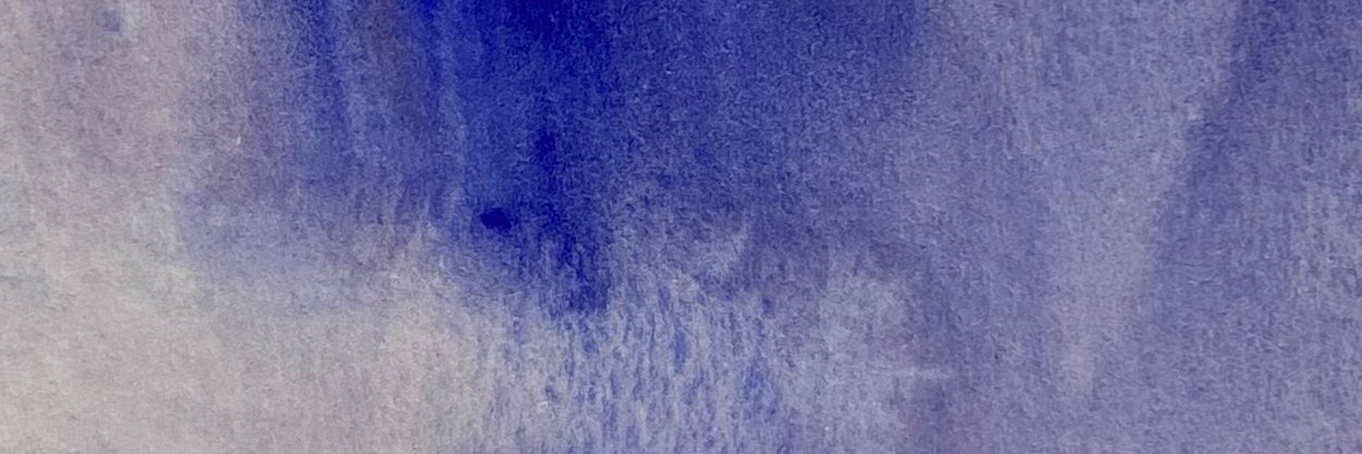 pMMgo banner
