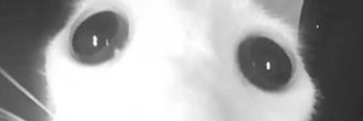Stressingoutttt's profile banner image