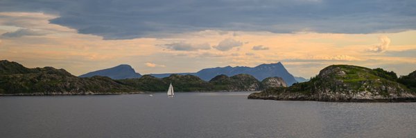 PatterSonFox11 Profile Banner