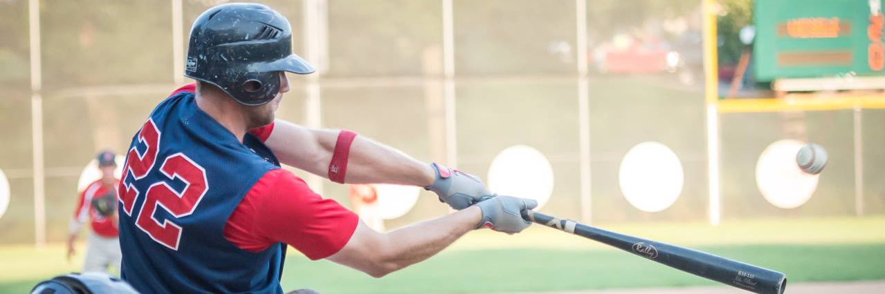 Cannon Falls Bears banner