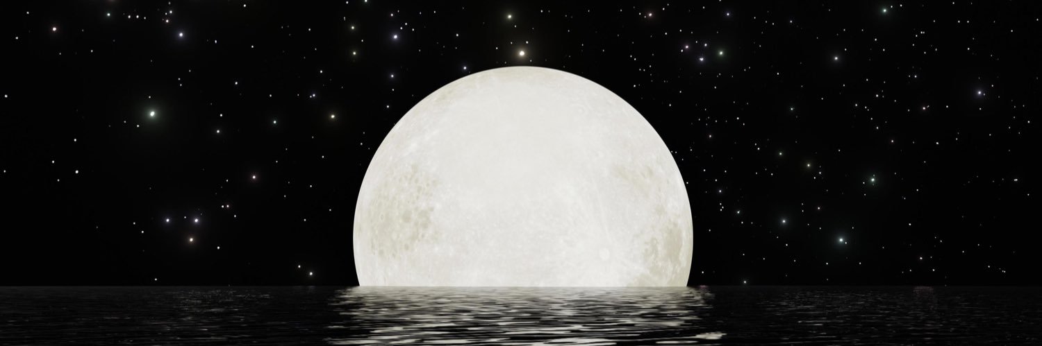 MarcZuckerturd's profile banner image