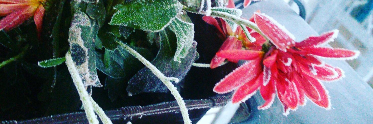 Die mit dem Brettspiel banner