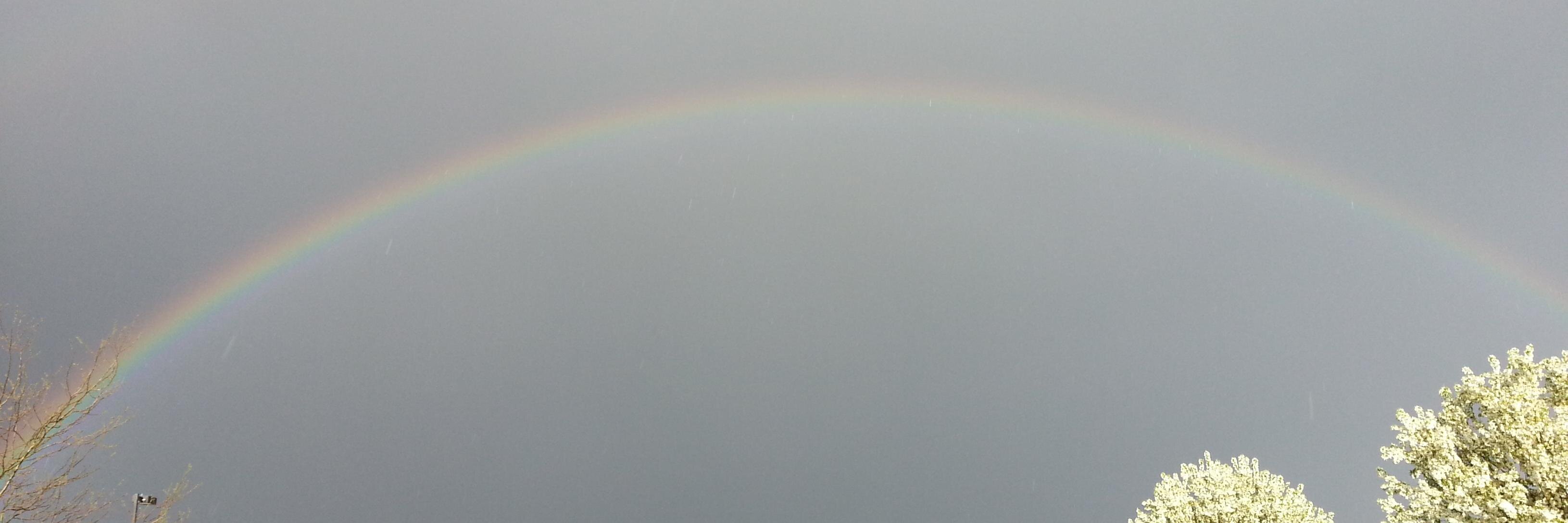 Sharon Fisher banner