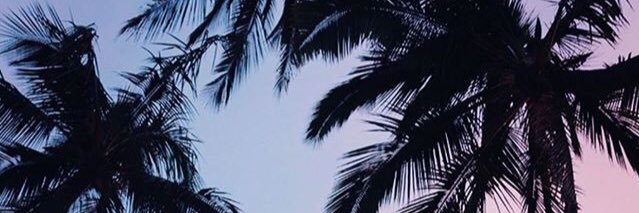 giovanyts's profile banner image