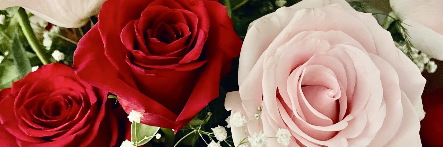 KristaB1013's profile banner image