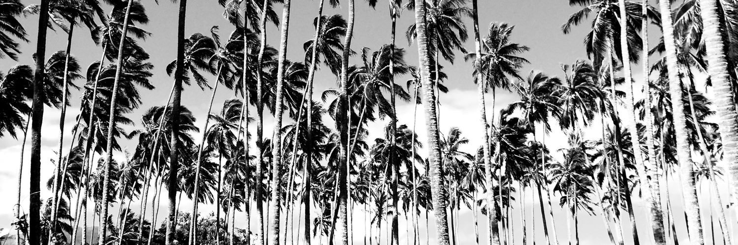 mailemaii's profile banner image
