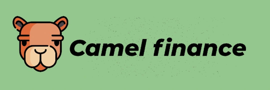 camel_finance's profile banner image