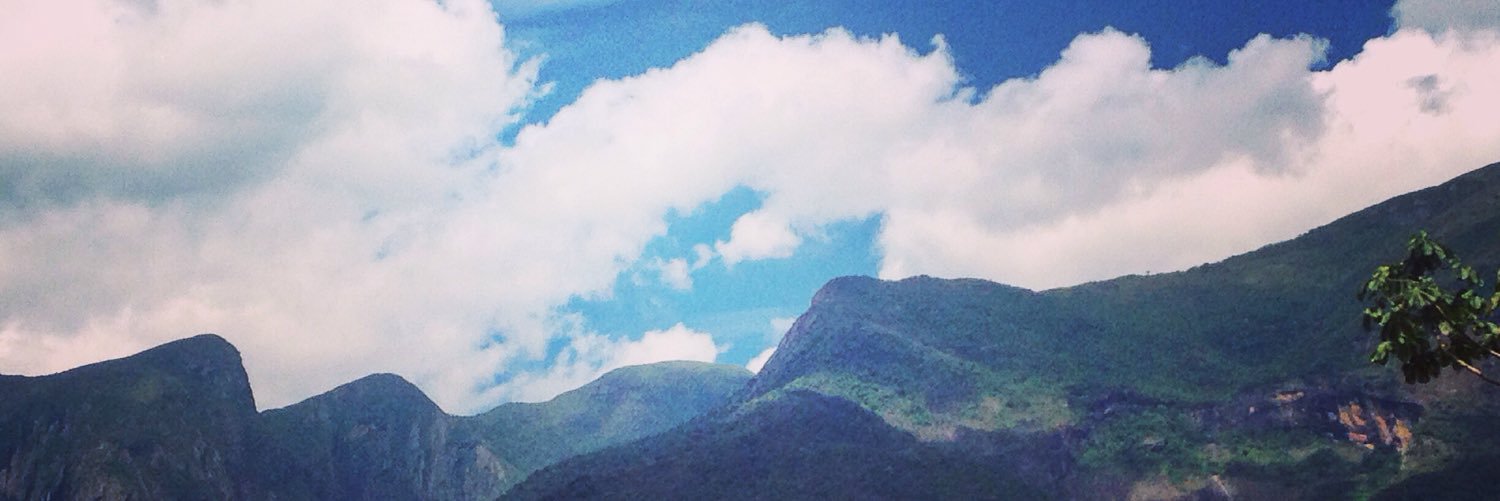 lilidelucca's profile banner image