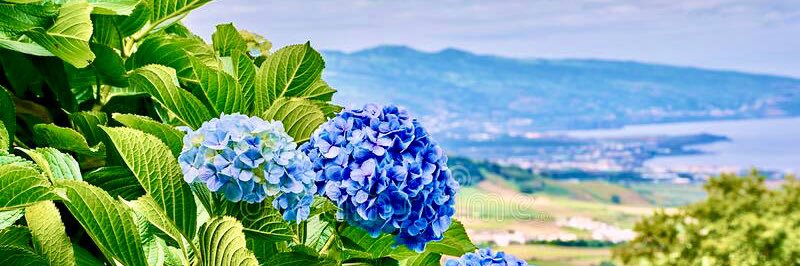 A_helena's profile banner image