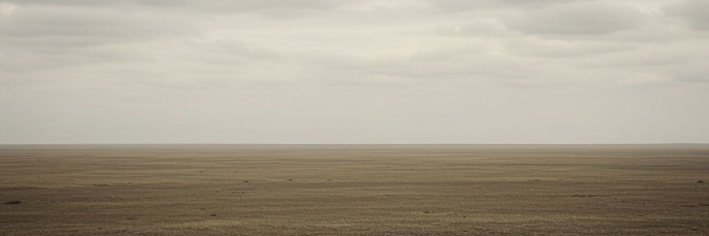 MAS46659470's profile banner image