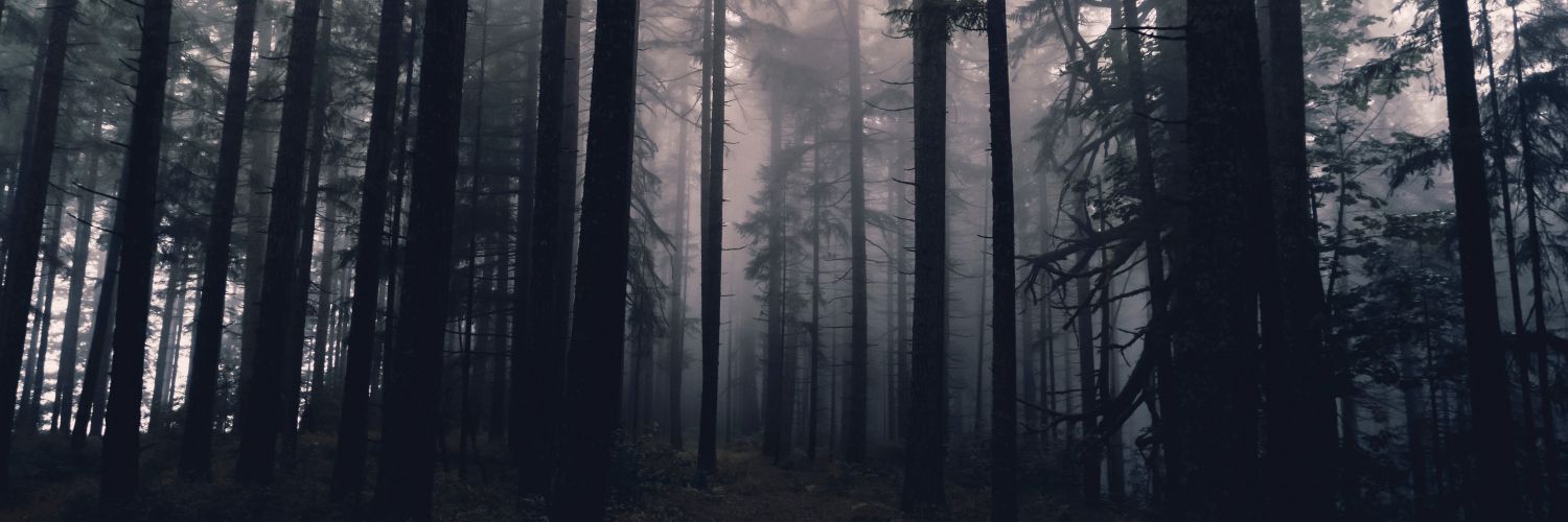 digitalbath.eth banner