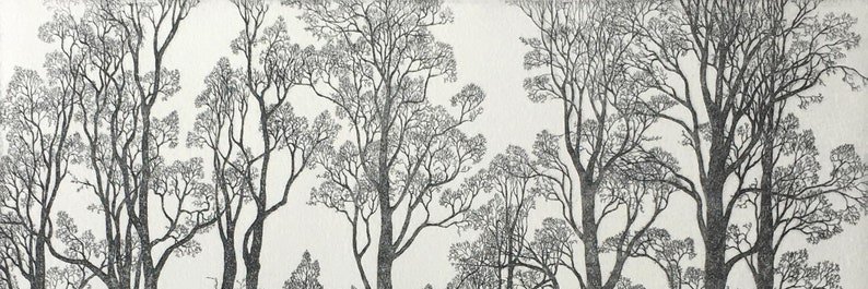 forest_ism's profile banner image