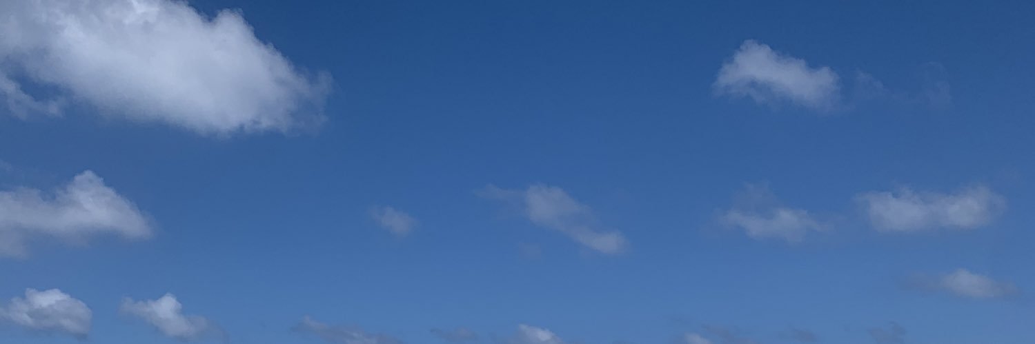 sweeetjanee's profile banner image