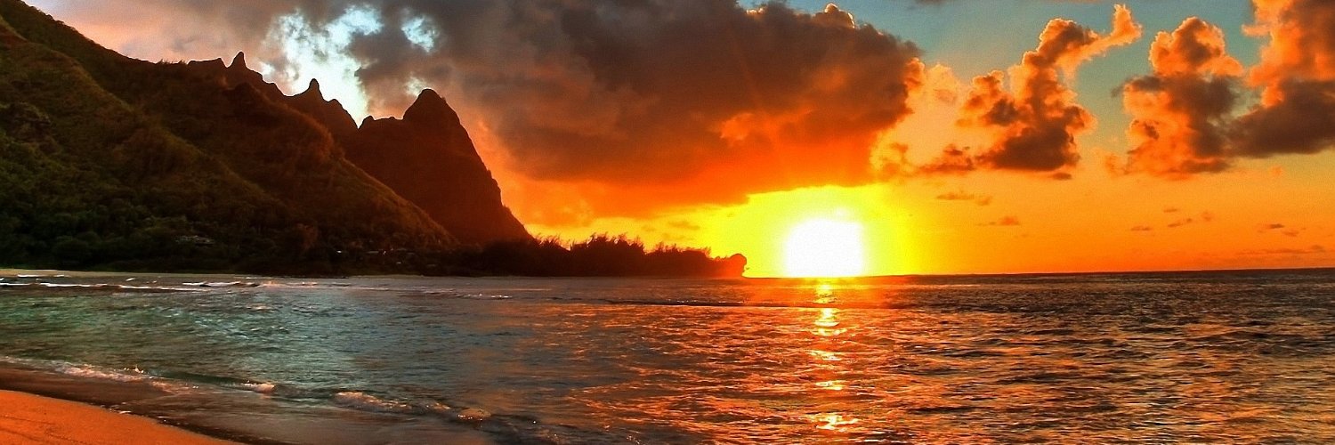 Matt Radchenko banner