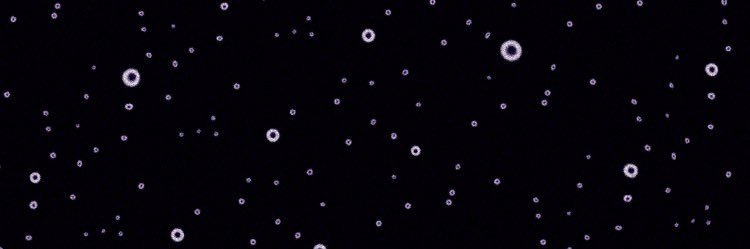 🍉VS STARECROWN | STUDIO GATEWAY🍉 banner